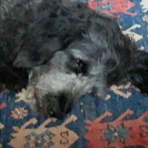 Meet your Posher, Mia